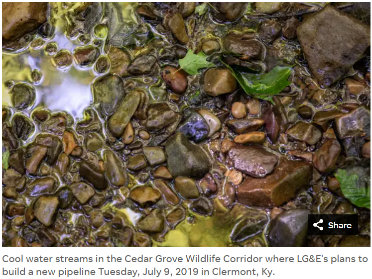 Screenshot 2024-02-01 143728